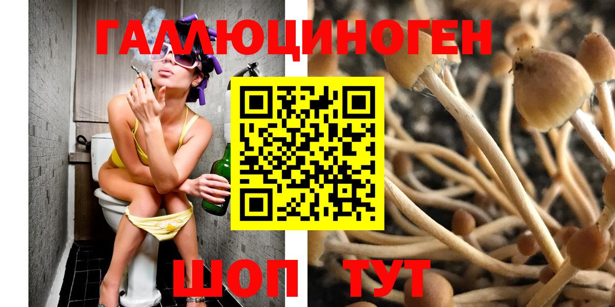Галлюциногенные грибы ЛСД  Вход с VPN  Кудрово 